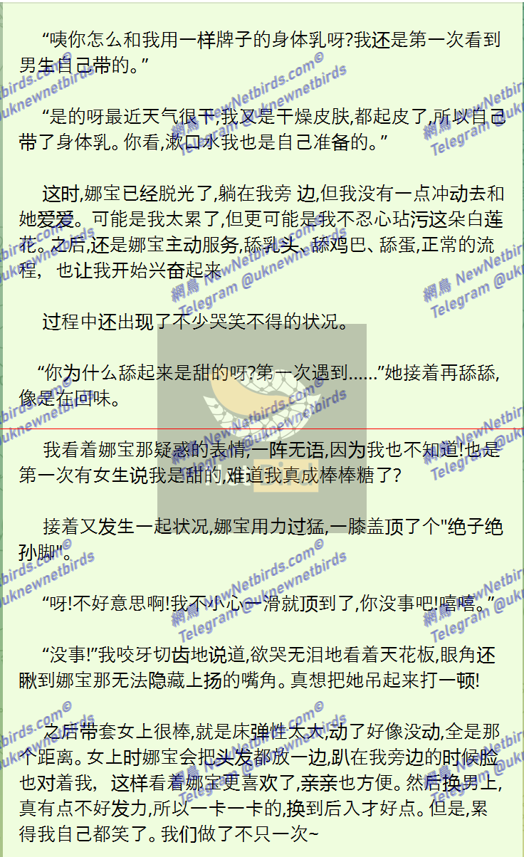戰號 498 3.png